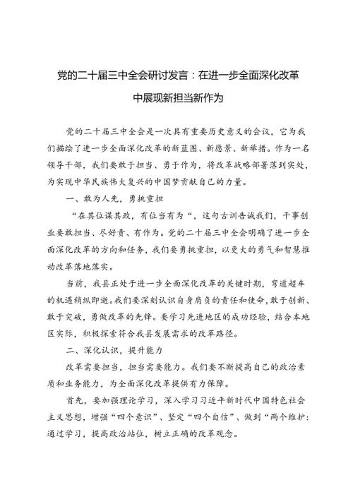2024年党的二十三中全会研讨发言（在进一步全面深化改革中 展现新担当新作为）.docx