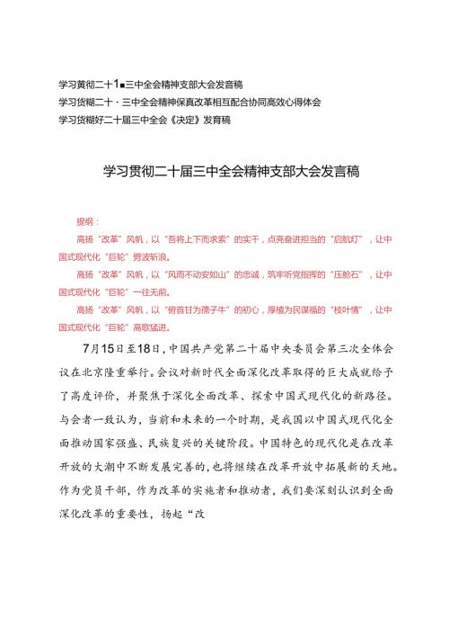 3篇 2024年学习贯彻二十三中全会精神支部大会发言稿+二十三中全会《决定》发言稿.docx