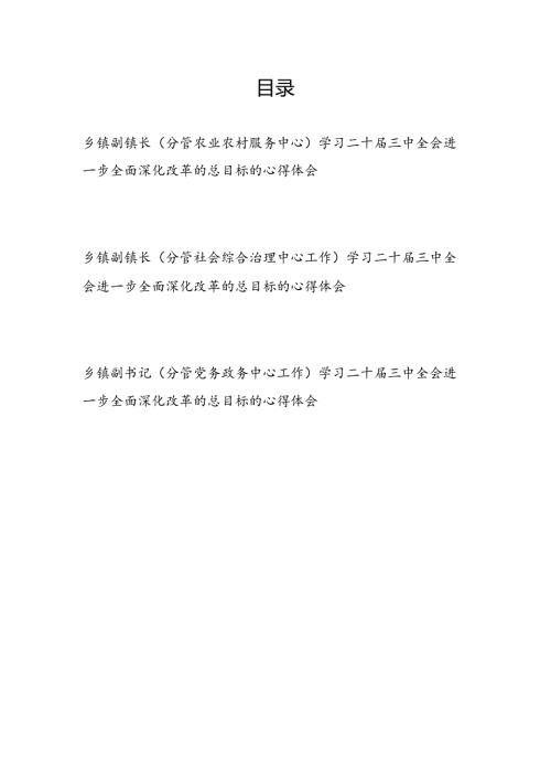乡镇副镇长副书记学习党的二十三中全会心得体会研讨发言3篇.docx