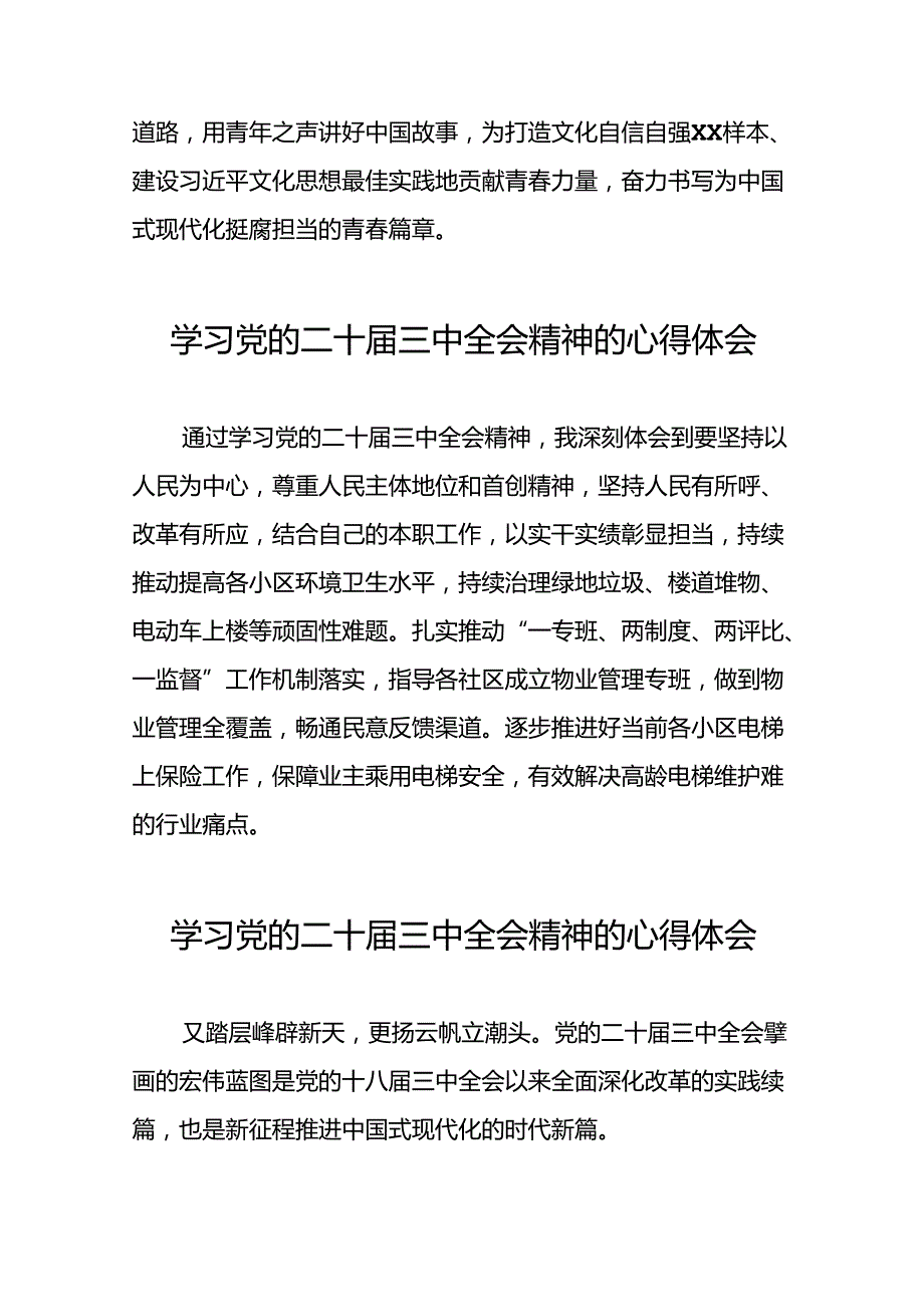 关于党的二十三中全会精神的学习体会发言稿.docx_第2页