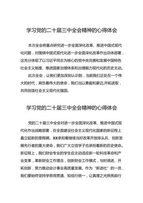关于党的二十三中全会精神的学习体会发言稿.docx