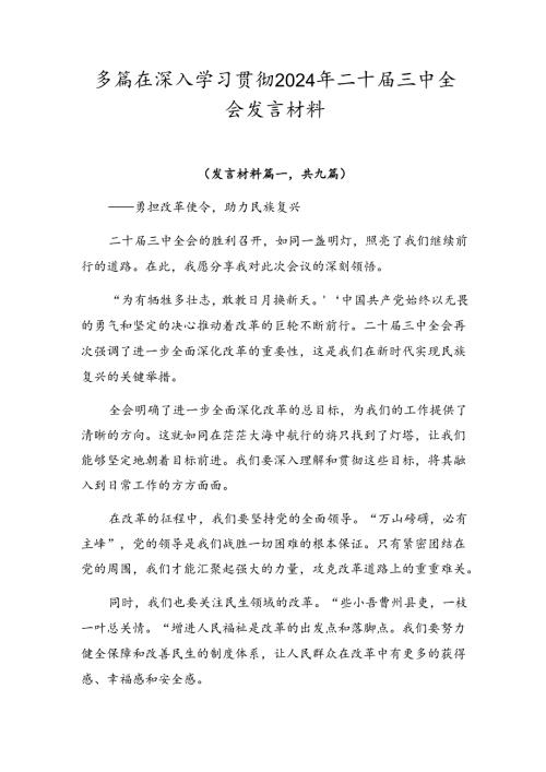 多篇在深入学习贯彻2024年二十三中全会发言材料.docx