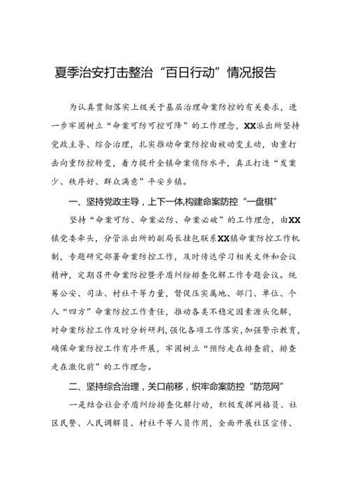 公安推进2024年夏季治安打击整治行动的情况报告十八篇.docx