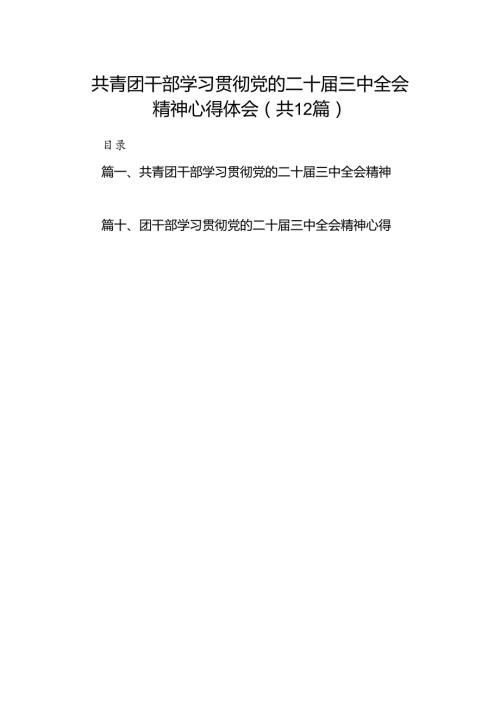 共青团干部学习贯彻党的二十三中全会精神心得体会（共12篇选择）.docx