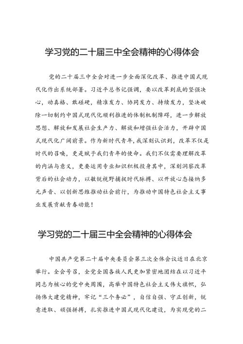 党员干部关于二十三中全会精神的心得体会三十篇.docx
