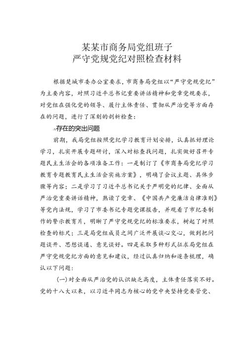 某某市商务局党组班子严守党规党纪对照检查材料.docx