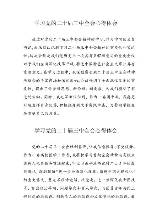 2024年学习党的二十三中全会心得体会 （汇编10份）.docx