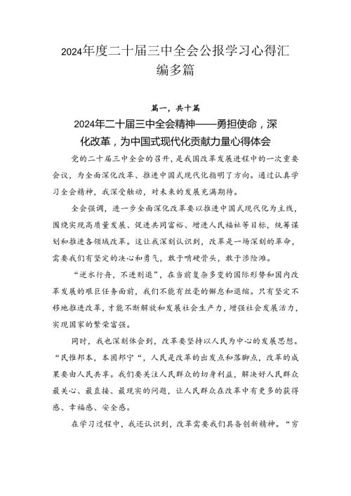 2024二十三中全会公报学习心得汇编多篇.docx