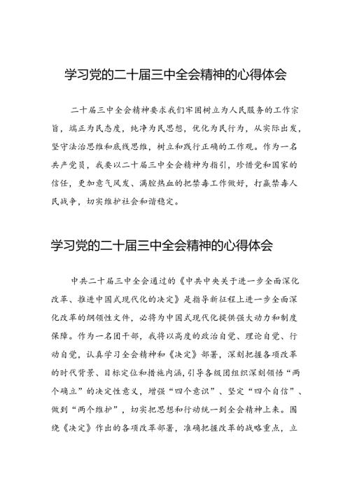 2024年党的二十三中全会精神学习体会范本三十篇.docx