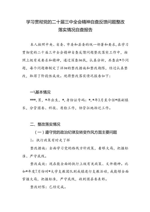 乡镇副镇长学习贯彻党的二十三中全会精神自查反馈问题整改落实情况个人自查报告.docx