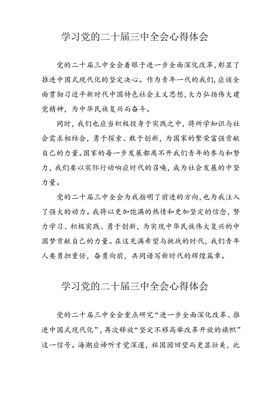 2024年学习党的二十三中全会心得体会 （13份）.docx_第3页