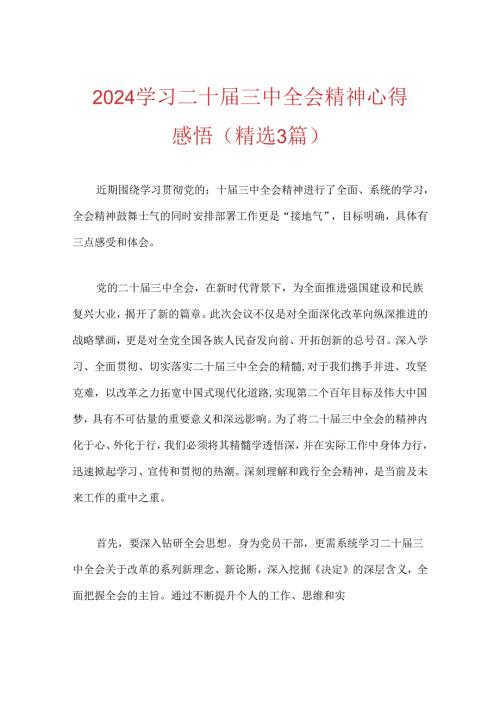 2024学习二十三中全会精神心得感悟.docx