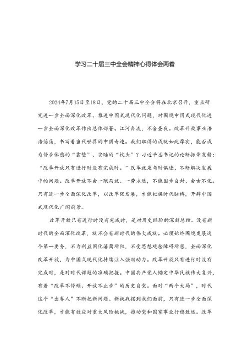 学习二十三中全会精神心得体会两篇.docx
