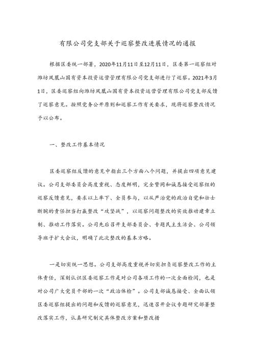 有限公司党支部关于巡察整改进展情况的通报.docx