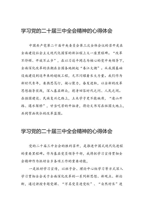学习二十三中全会的心得体会样例二十六篇.docx