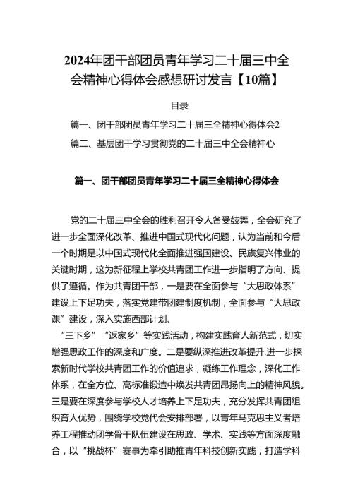 2024年团干部团员青年学习二十三中全会精神心得体会感想研讨发言【10篇】.docx