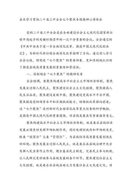 县长学习贯彻二十三中全会七个聚焦专题精神心得体会研讨发言.docx