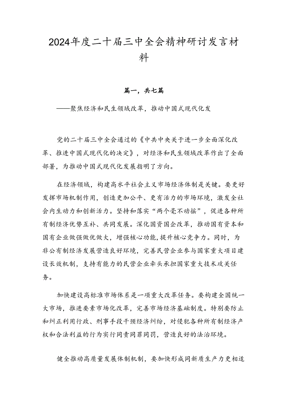 2024二十三中全会精神研讨发言材料.docx_第1页