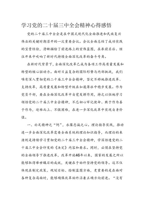 学习党的二十三中全会精神心得感悟(5).docx