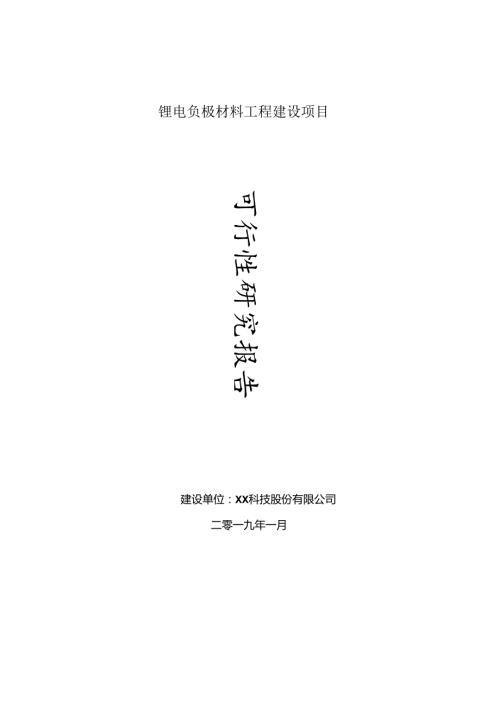 锂电负极材料项目可行性研究报告(建议书模板).docx