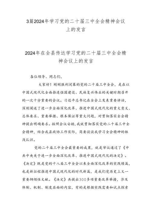 3篇2024年学习党的二十三中全会精神会议上的发言.docx