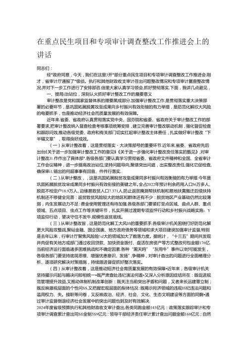 在重点民生项目和专项审计调查整改工作推进会上的讲话.docx
