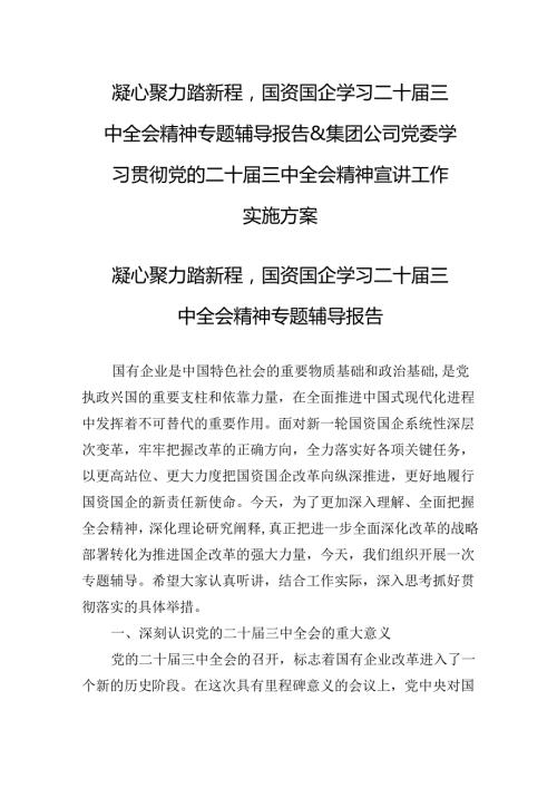 凝心聚力踏新程国资国企学习二十三中全会精神专题辅导报告&集团公司党委学习贯彻党的二十三中全会精神宣讲工作实施方案.docx