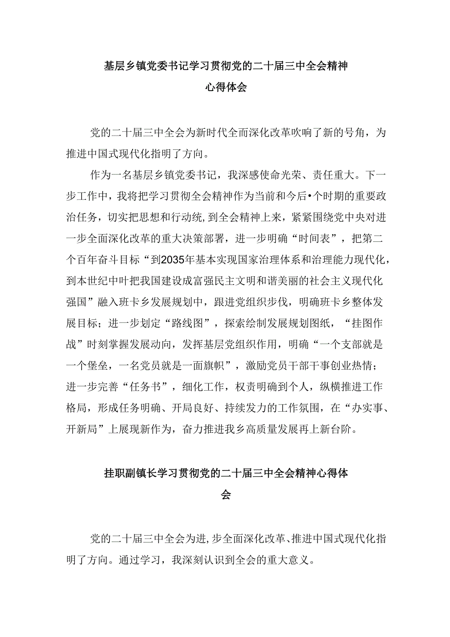 基层乡镇党委书记学习二十三中全会心得体会（共五篇）.docx_第3页