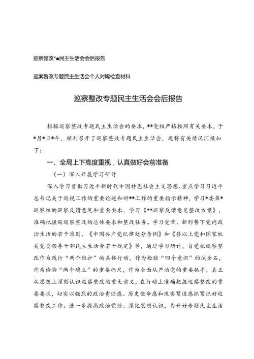 巡察整改专题民主生活会会后报告+巡察整改专题民主生活会个人对照检查材料.docx
