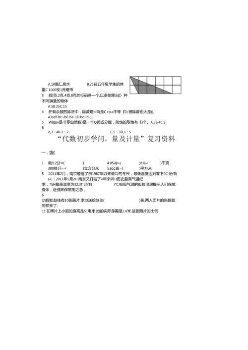 代数初步知识量与计量复习资料.docx