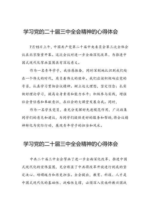 关于2024年党的二十三中全会精神的心得感悟42篇.docx