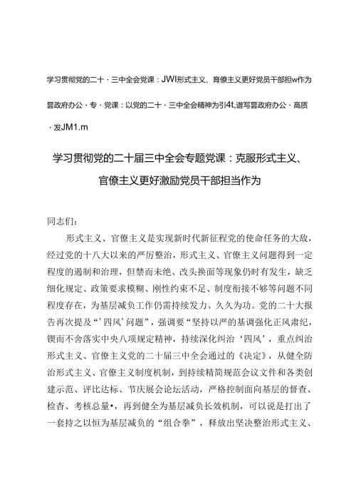 县政府办公室专题党课学习贯彻党的二十三中全会专题党课：克服形式主义、官僚主义更好激励党员干部担当作为、以党的二十三中全会精神为.docx