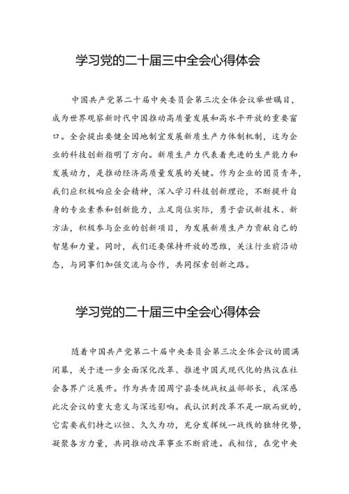2024年学习党的二十三中全会个人心得体会 汇编13份.docx