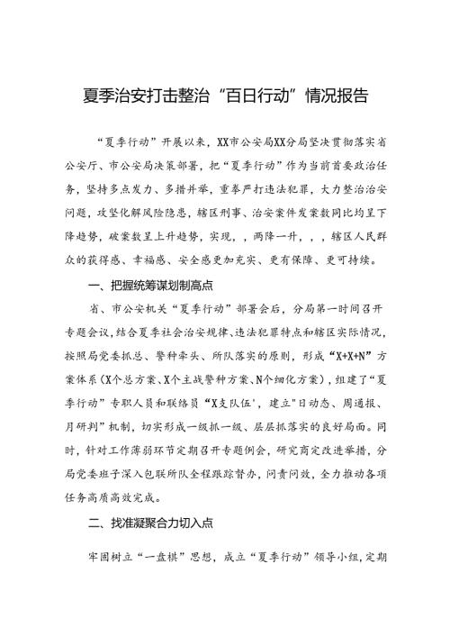 公安分局推动夏季治安打击整治行动走深走实工作汇报17篇.docx