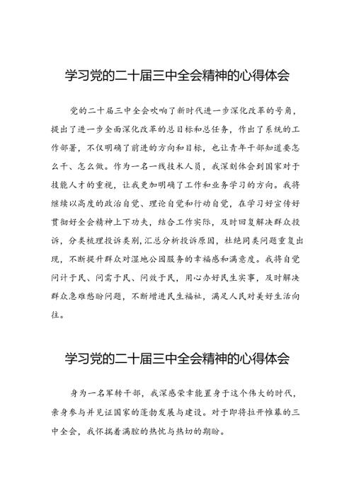 关于二十三中全会精神的心得体会范例.docx