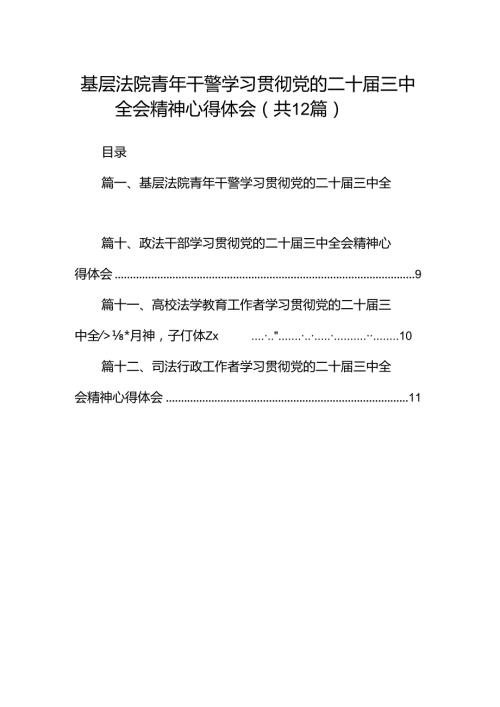 基层法院青年干警学习贯彻党的二十三中全会精神心得体会(12篇集合).docx
