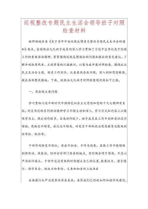 巡视整改专题民主生活会领导班子对照检查材料.docx