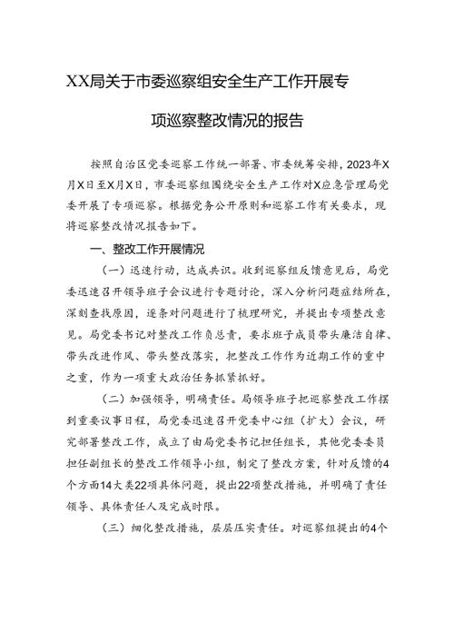 XX局关于市委巡察组安全生产工作开展专项巡察整改情况的报告.docx