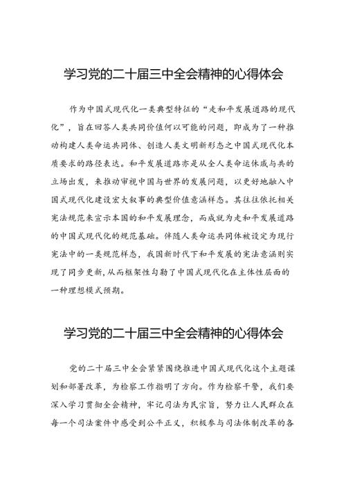 党员学习贯彻党的二十三中全会精神心得感悟交流发言33篇.docx