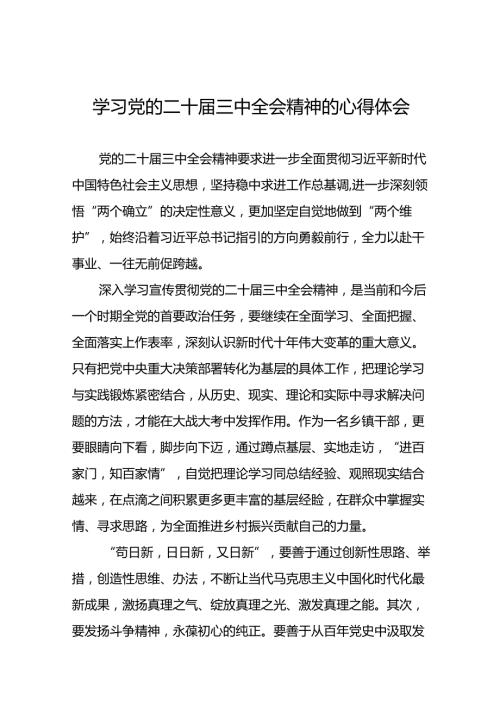 党员干部学习党的二十三中全会精神的心得感悟33篇.docx