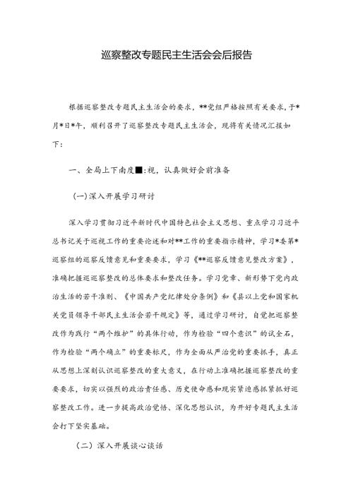 巡察整改专题民主生活会会后报告.docx