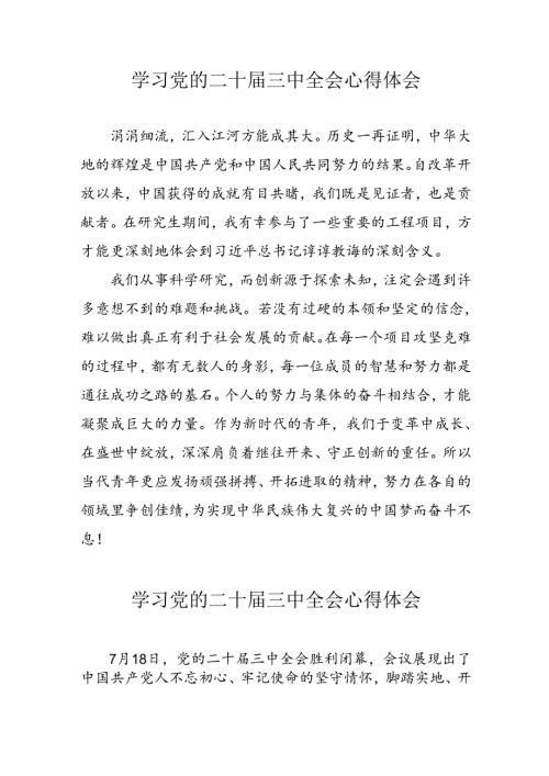 学习2024年党的二十三中全会心得体会 （10份）77.docx
