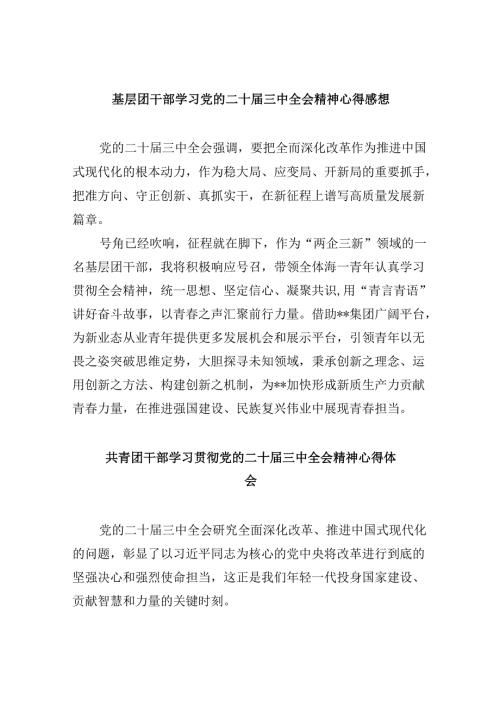 基层团干部学习党的二十三中全会精神心得感想8篇（精选）.docx
