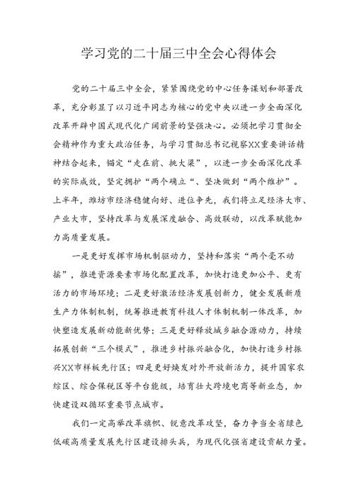 2024年学习学习党的二十三中全会个人心得体会 （6份）.docx