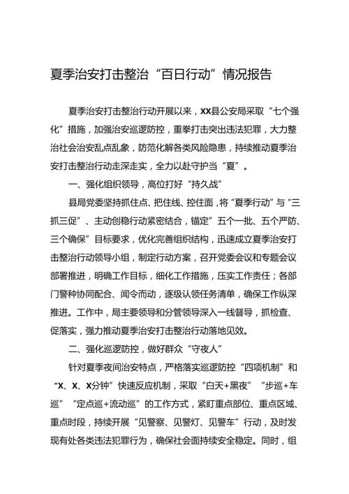 公安2024年夏季治安打击整治行动情况汇报五篇.docx