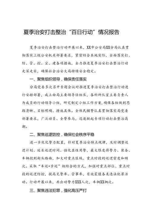 公安分局深入开展2024年夏季治安打击整治行动情况报告十八篇.docx