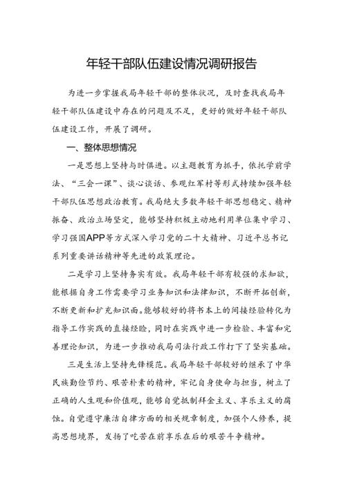 年轻干部队伍建设情况调研报告.docx