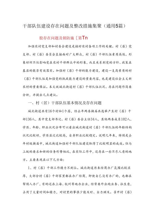干部队伍建设存在问题及整改措施集聚（通用5篇）.docx