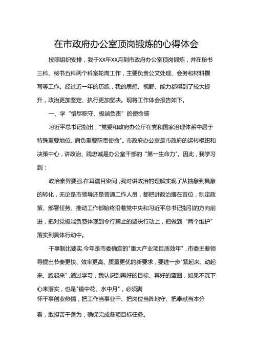 在市政府办公室顶岗锻炼的心得体会.docx