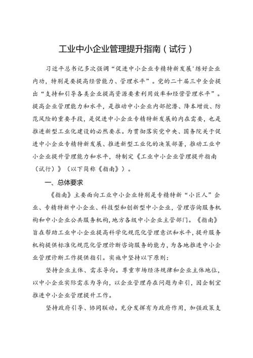 2024.8工业中小企业管理提升指南（试行）.docx